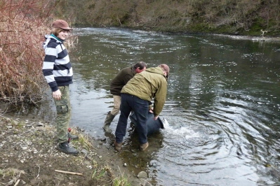 Besatz am Rundlauf Besatz am Rundlauf