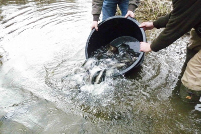 Besatz in Ordnung - Bedinungen gut !